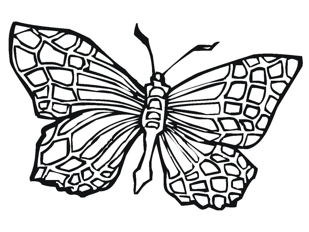 거대한 나비