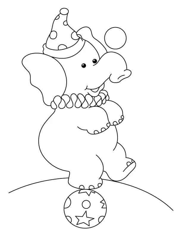 귀여운 서커스 코끼리 coloring page