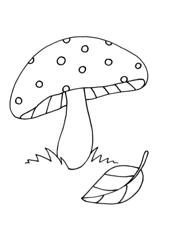 일반 버섯 coloring page