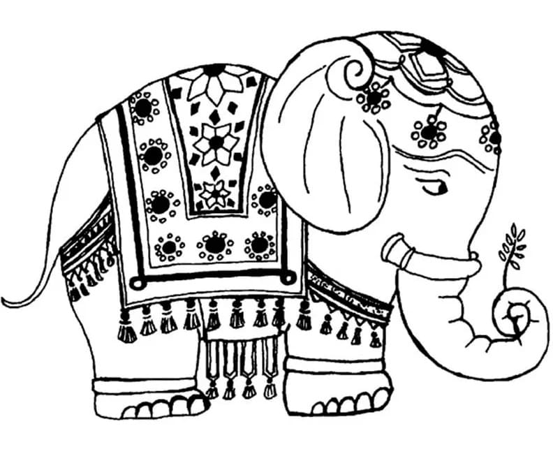 인도 코끼리 coloring page