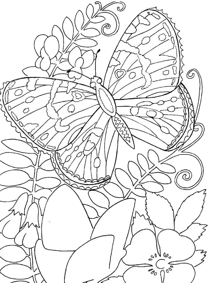 큰 나비 coloring page