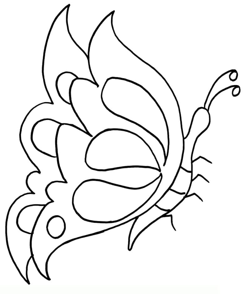 키즈 나비 coloring page