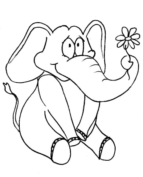 꽃을 든 코끼리
