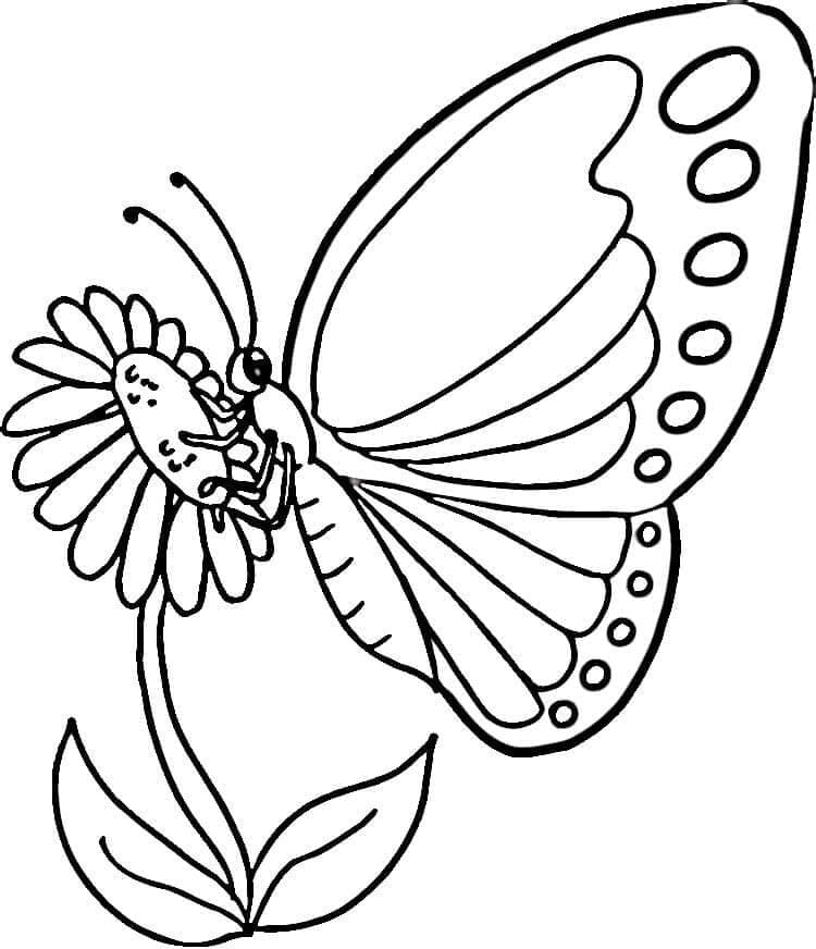 꽃 위의 나비 coloring page