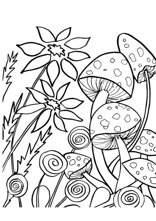 꽃과 버섯 coloring page