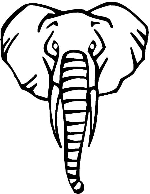 코끼리 머리 coloring page