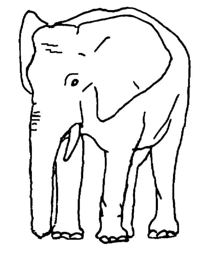 코끼리 무료 coloring page