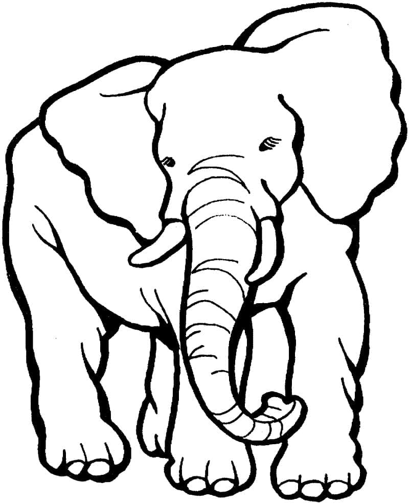 코끼리 coloring page