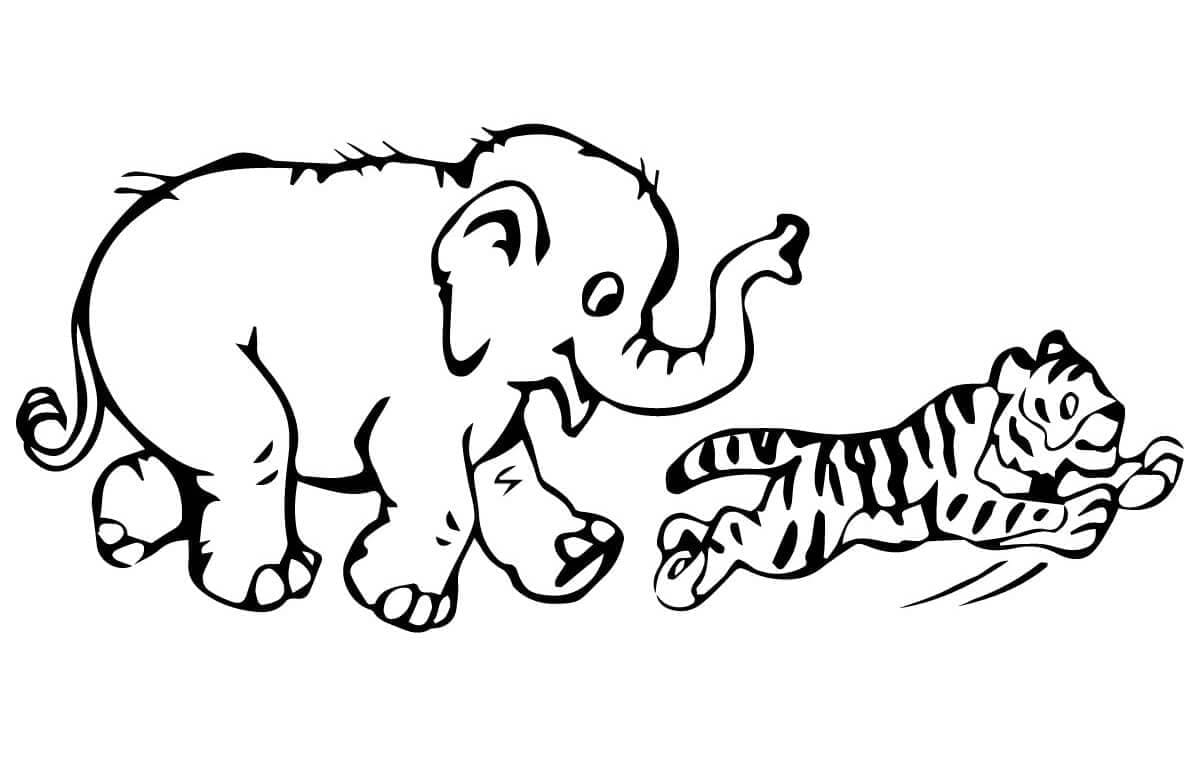 코끼리와 호랑이 coloring page