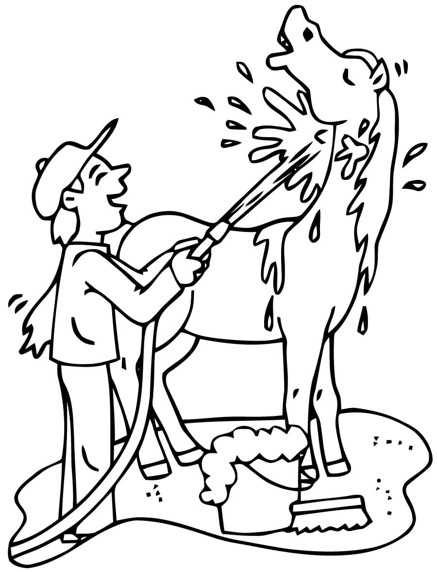 말 목욕시키기 coloring page