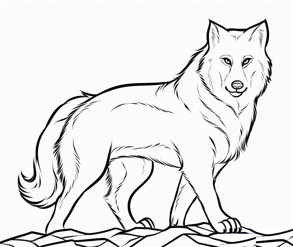 멋진 굉장한 늑대 coloring page