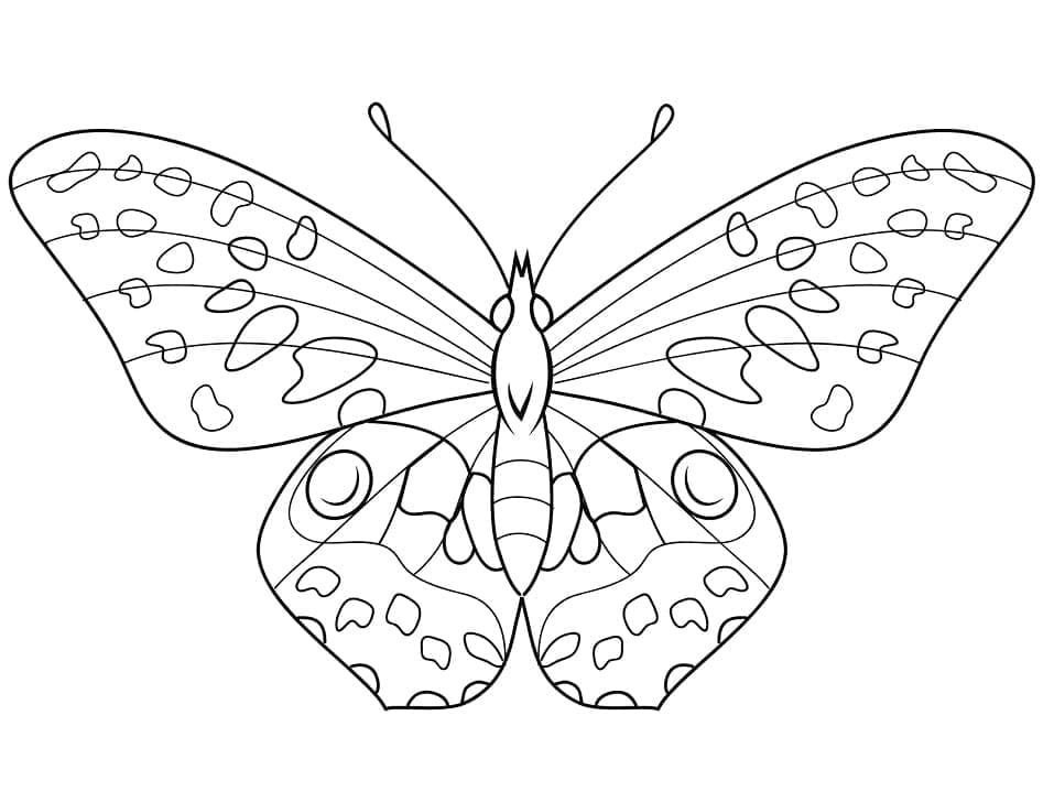 멋진 나비 coloring page