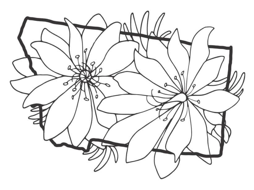 미적 꽃 coloring page
