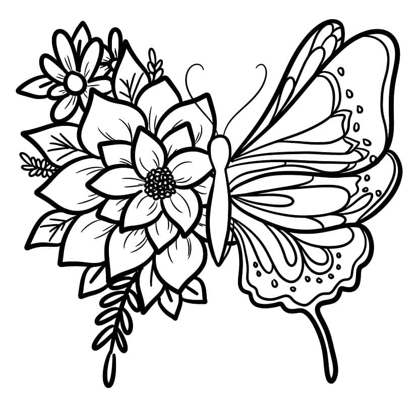 나비 3 coloring page
