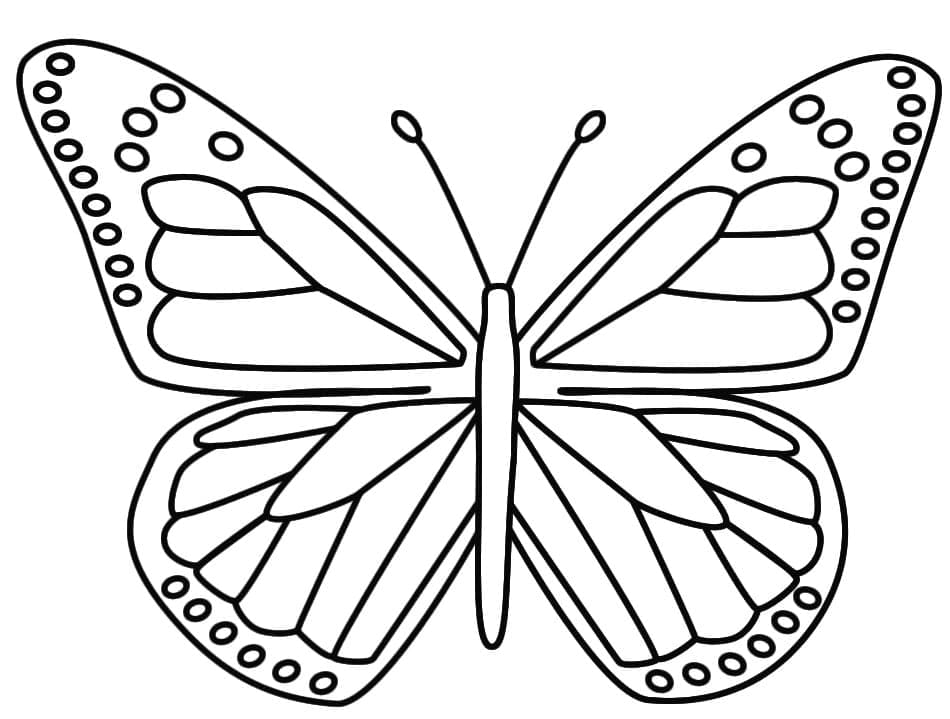 나비 4 coloring page