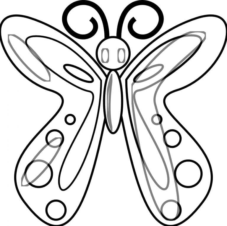 나비 5