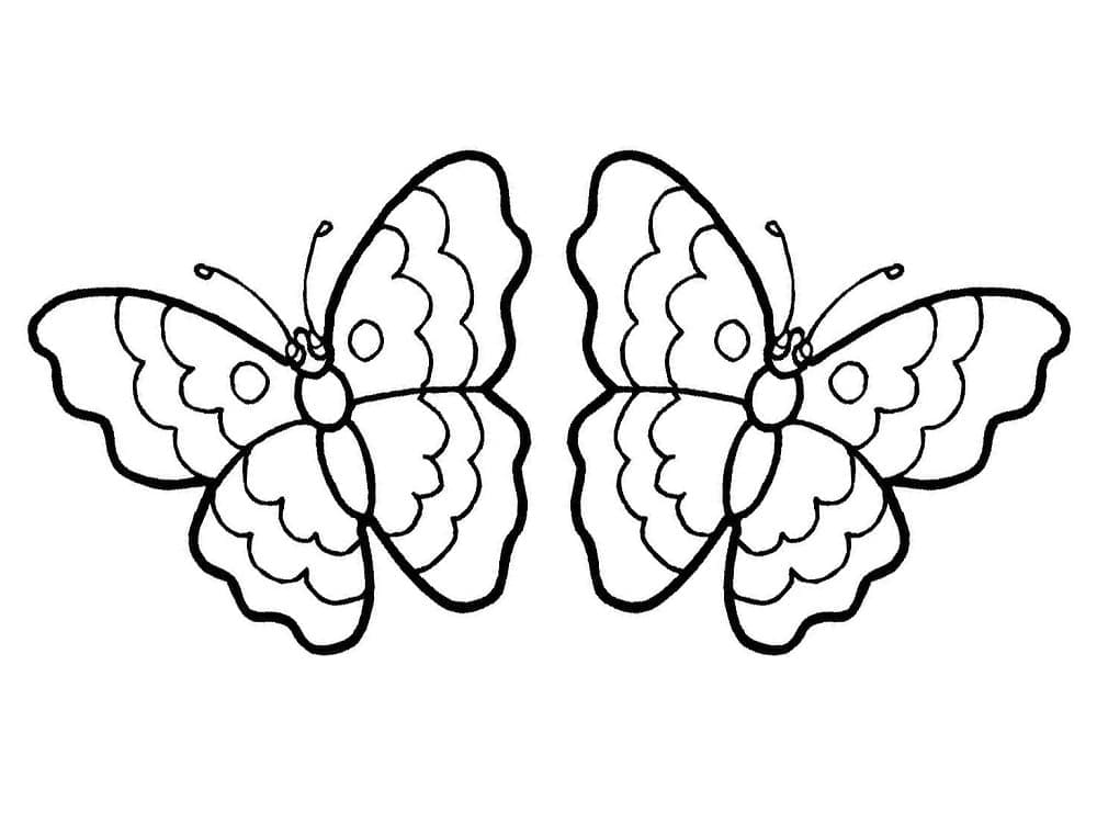 나비 두 마리 coloring page