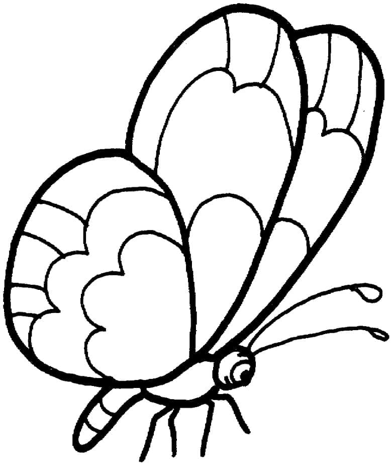 나비 인쇄 가능 coloring page