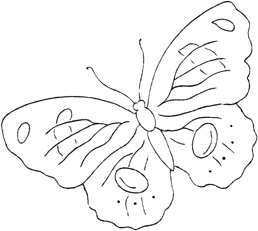 나비 무료 인쇄 가능 coloring page