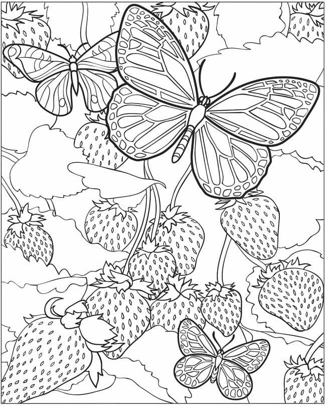 나비와 딸기 coloring page