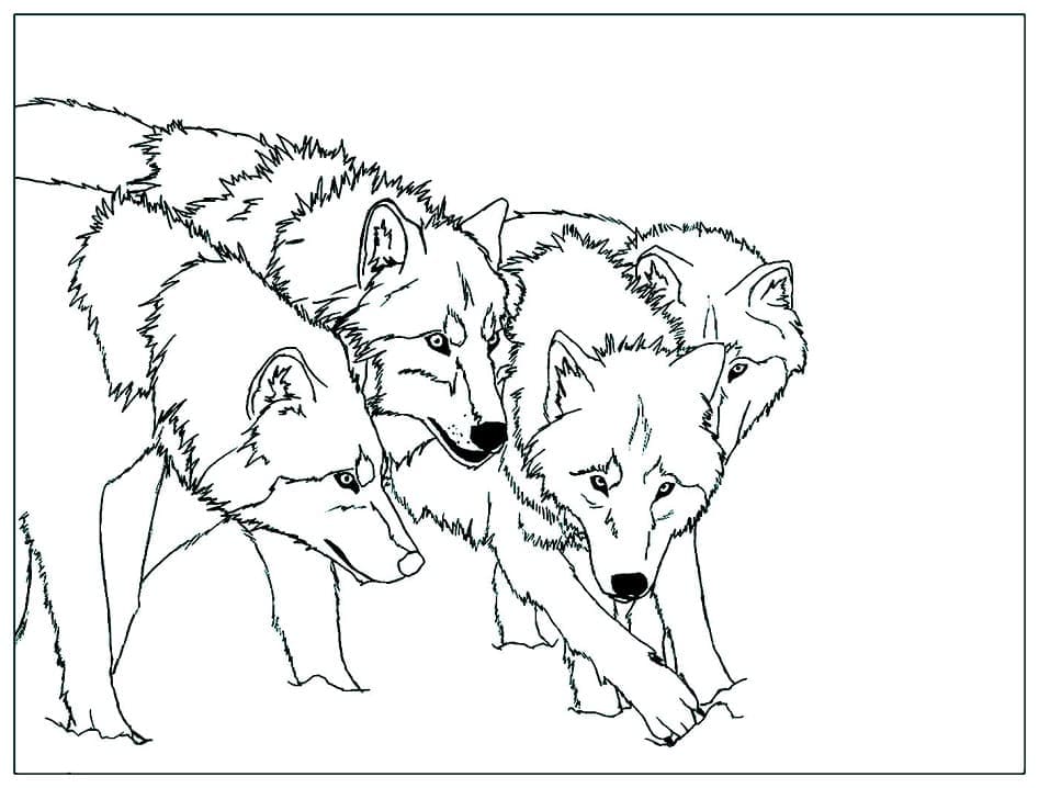 늑대 coloring page