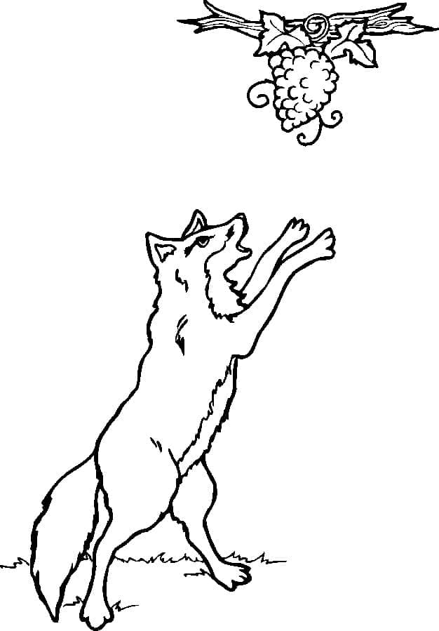 늑대와 자몽 coloring page
