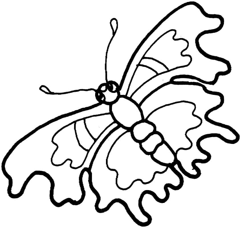 플라잉 나비 coloring page