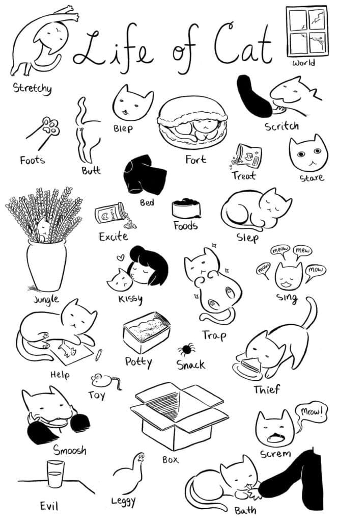 새끼 고양이 미학 coloring page