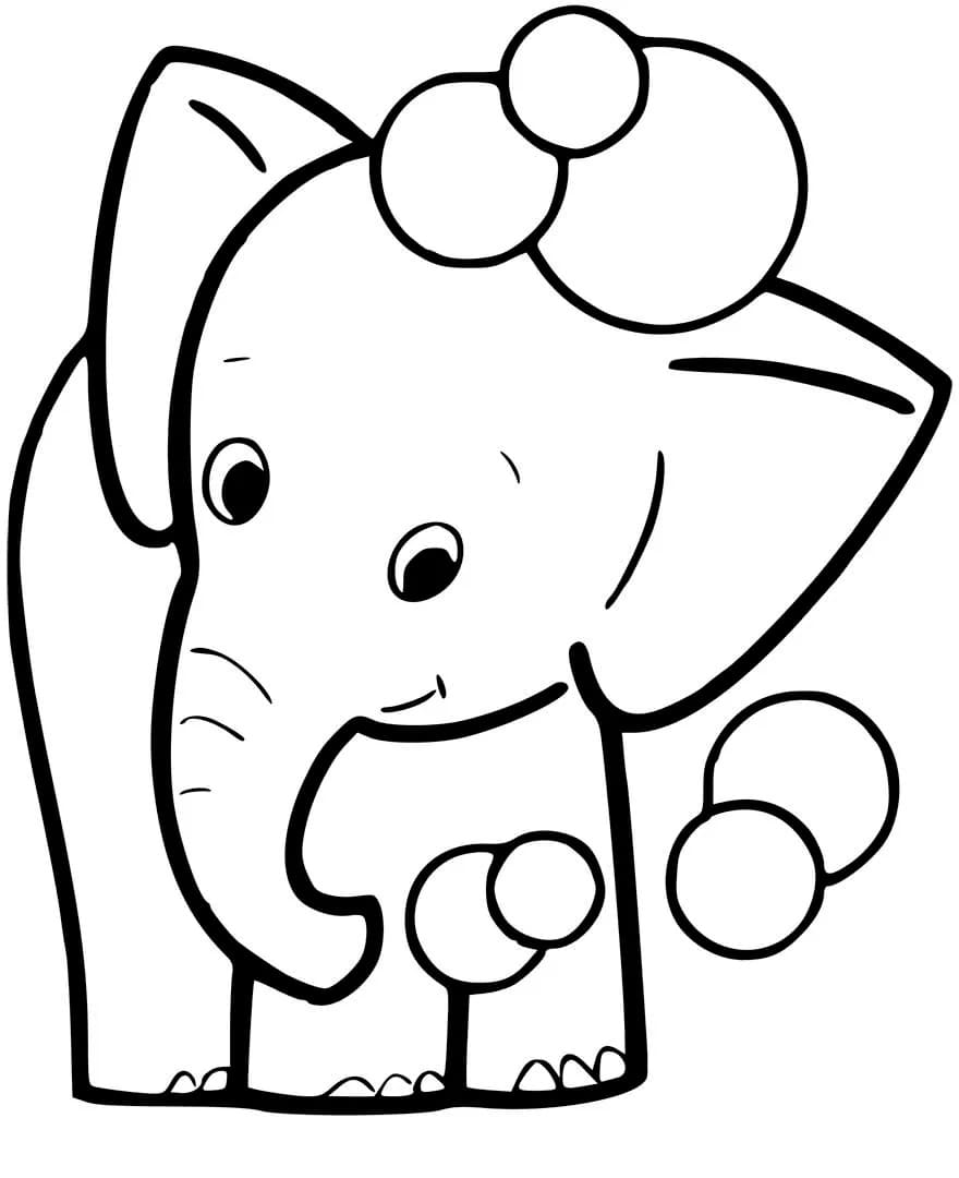 사랑스러운 코끼리