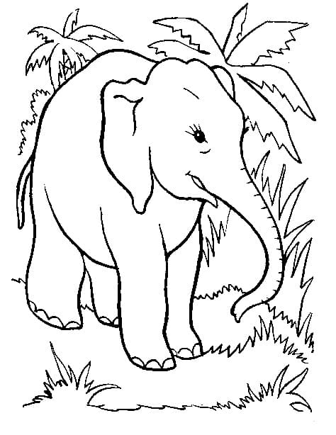 숲속의 코끼리 coloring page