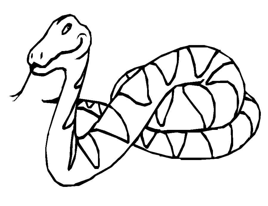 뱀 그림 coloring page