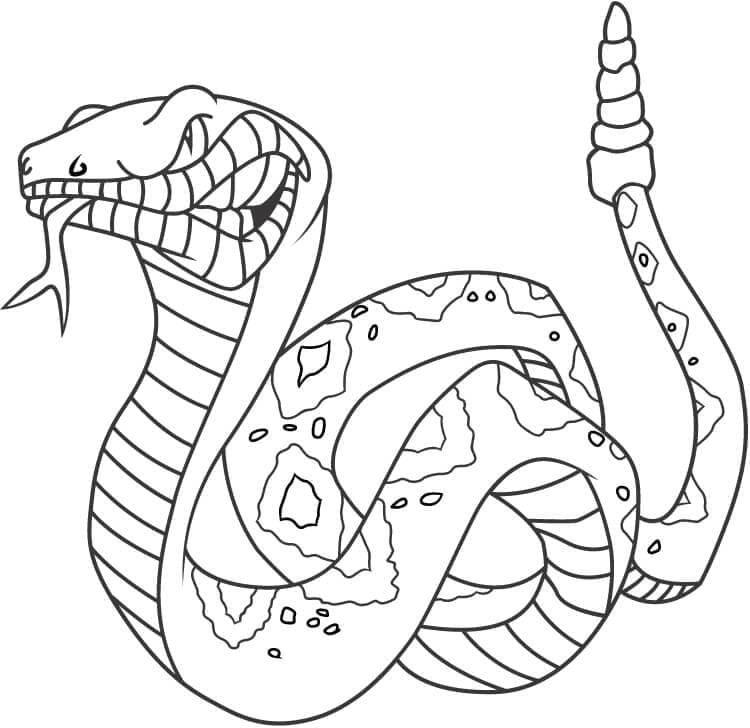 뱀 무료 coloring page
