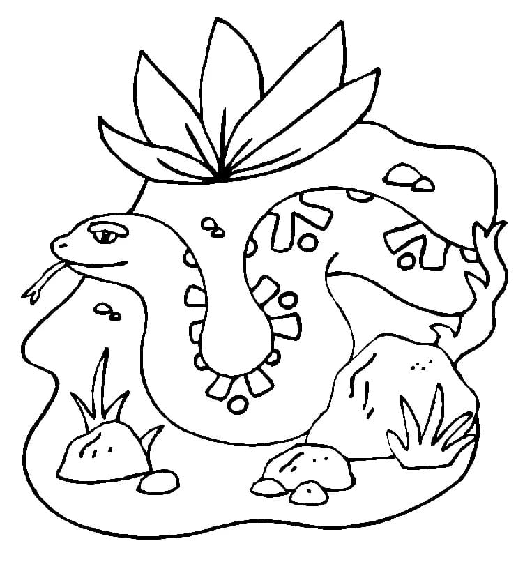 어린이를 위한 뱀 무료 coloring page