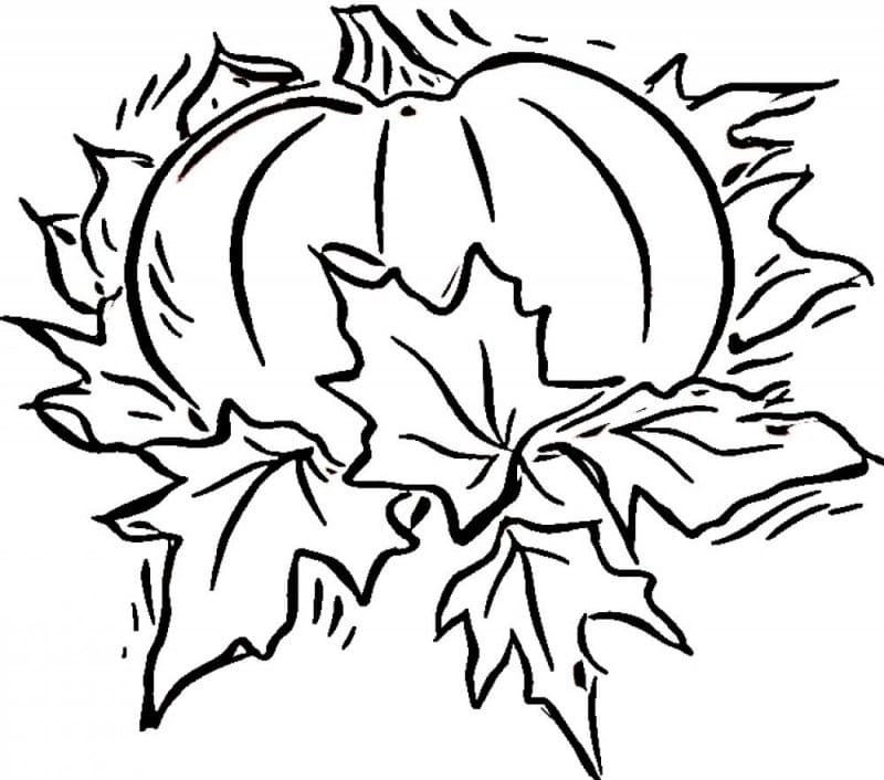 가을 호박 coloring page