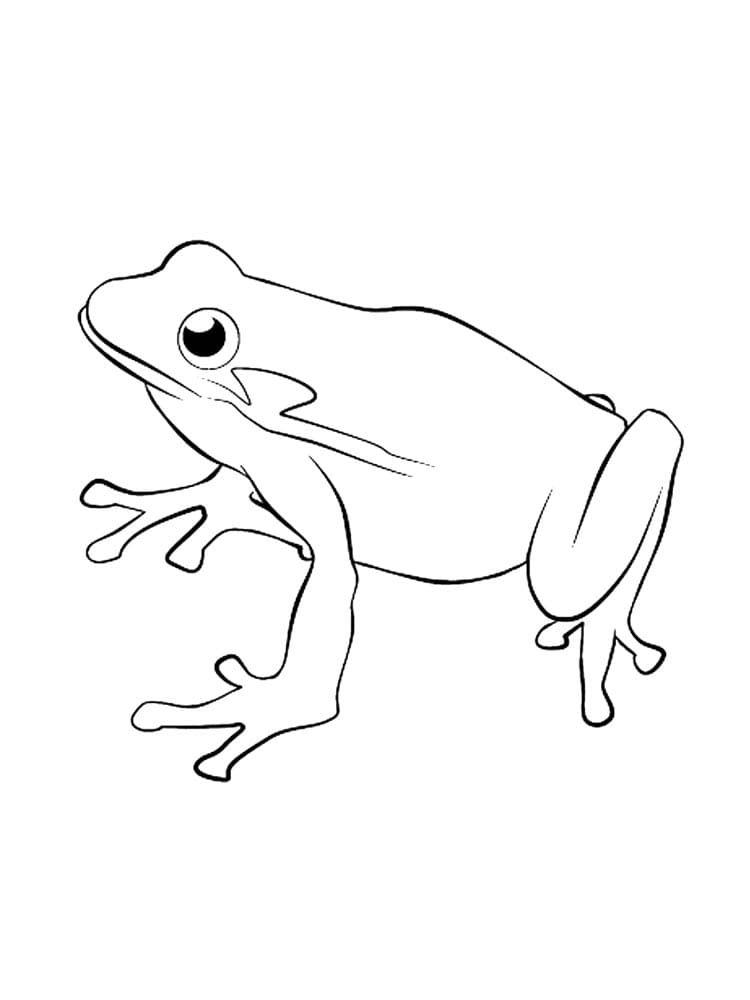 개구리 무료 인쇄 가능 coloring page