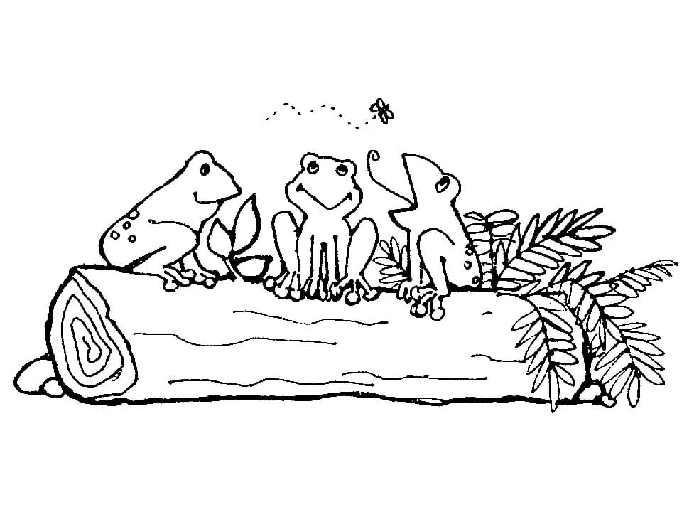 개구리 세 마리 coloring page