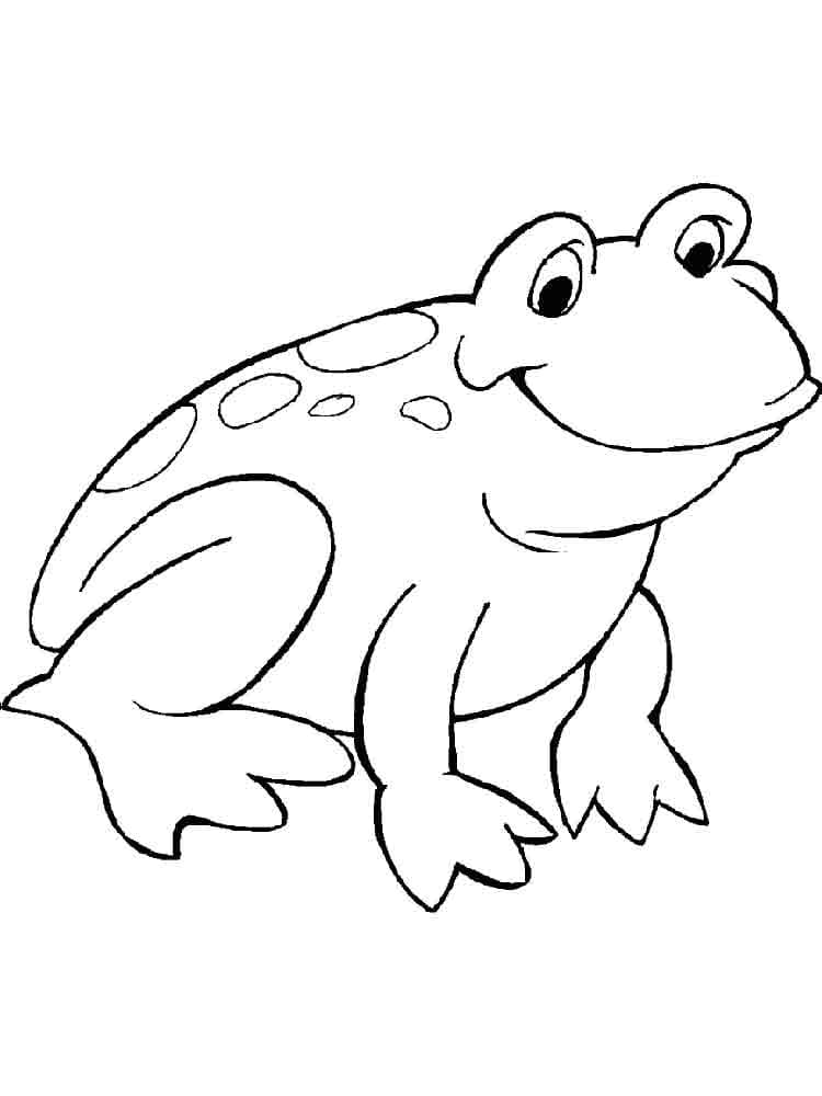 귀여운 개구리 coloring page