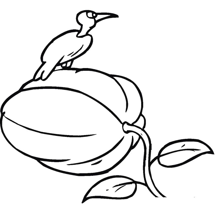 호박 위의 새
