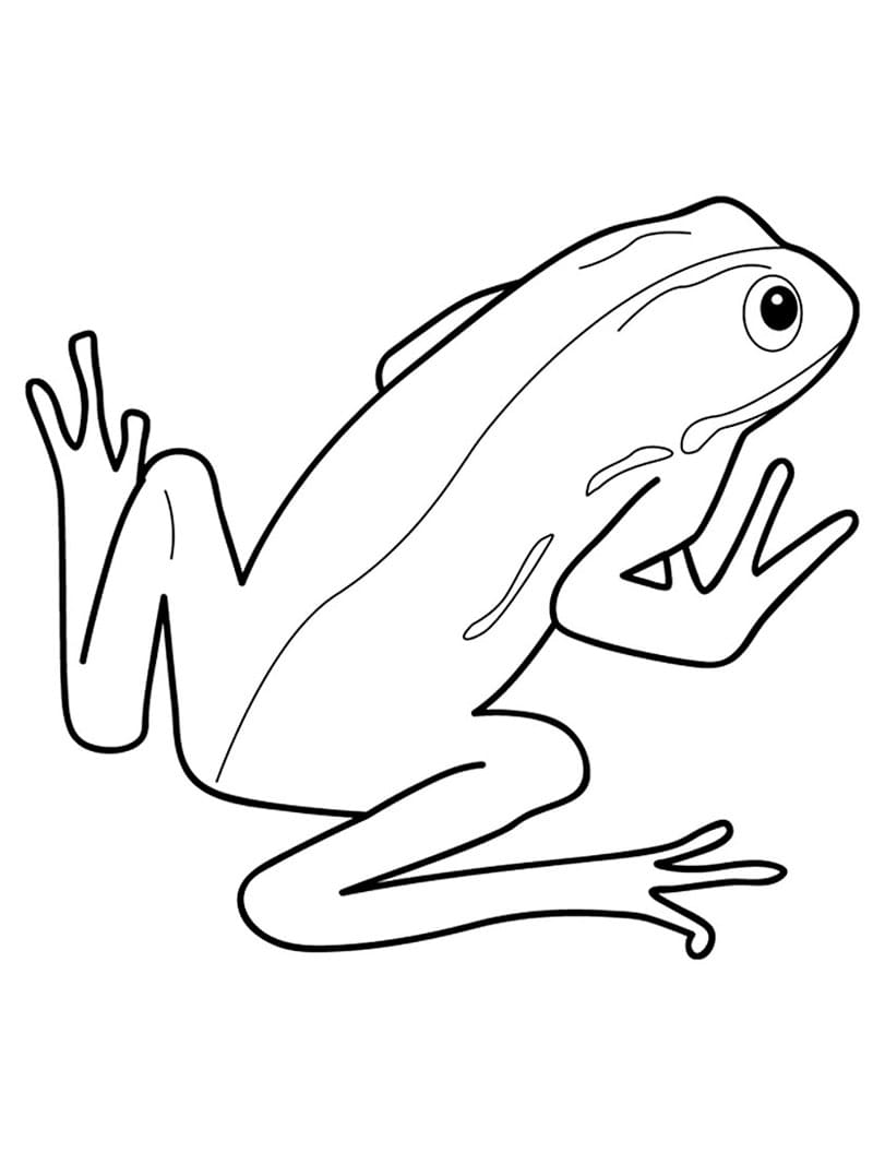 인쇄 가능한 개구리 coloring page