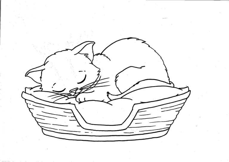 잠자는 고양이 coloring page