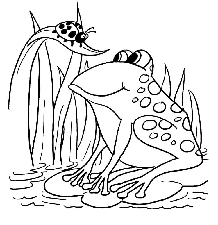 무당벌레와 개구리 coloring page