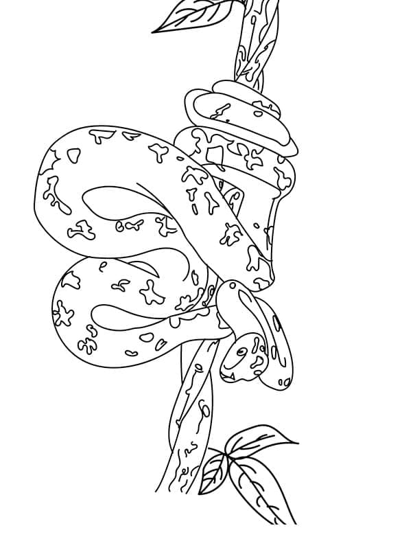 무료 뱀 coloring page