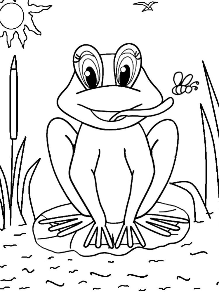 무료 인쇄 가능한 개구리 coloring page