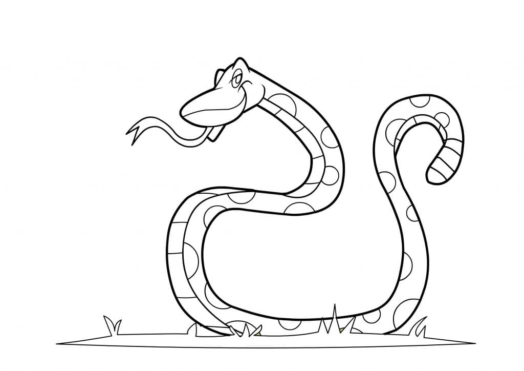무료로 인쇄 가능한 뱀 coloring page