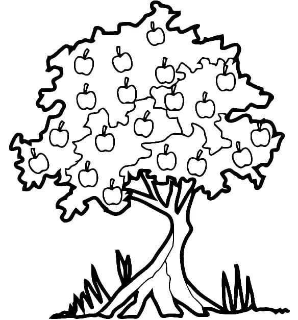 무료로 인쇄 가능한 사과나무 coloring page