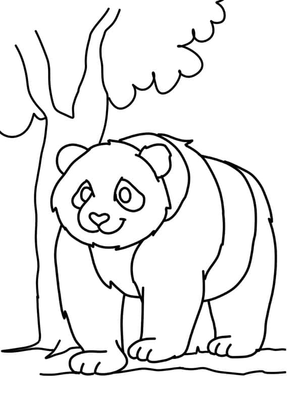 나무 근처의 팬더 coloring page