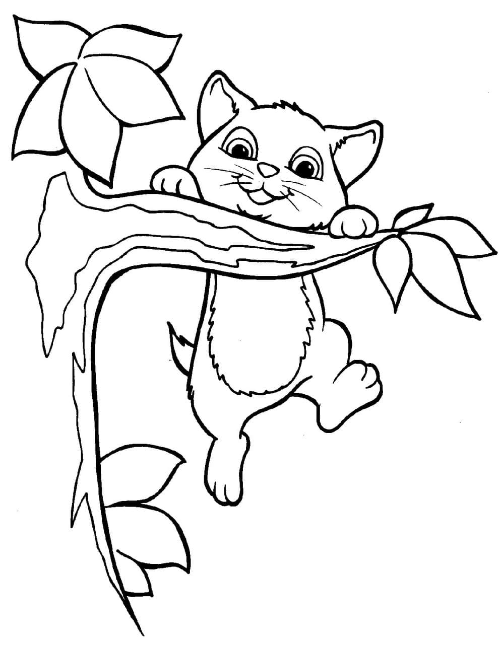 나무위의 새끼고양이 coloring page