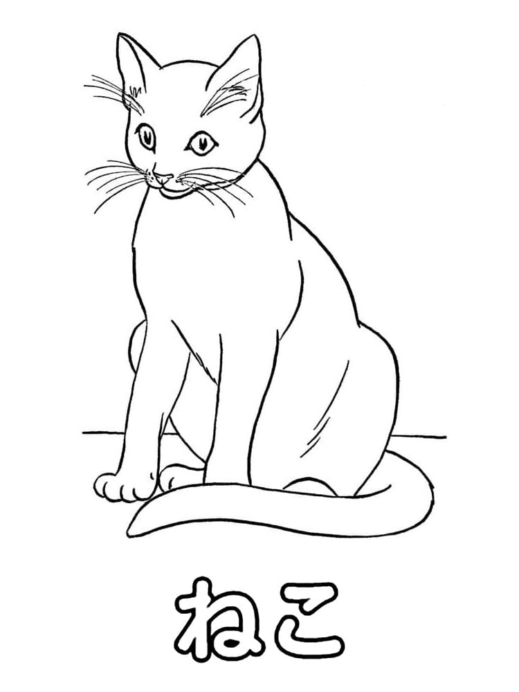 ね 고양이용이에요 coloring page