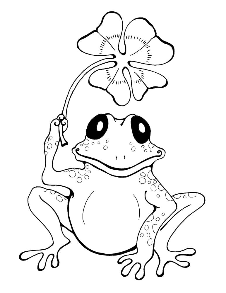 네잎클로버를 가진 개구리 coloring page