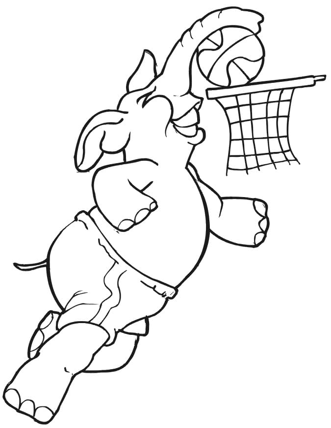 농구하는 코끼리 coloring page